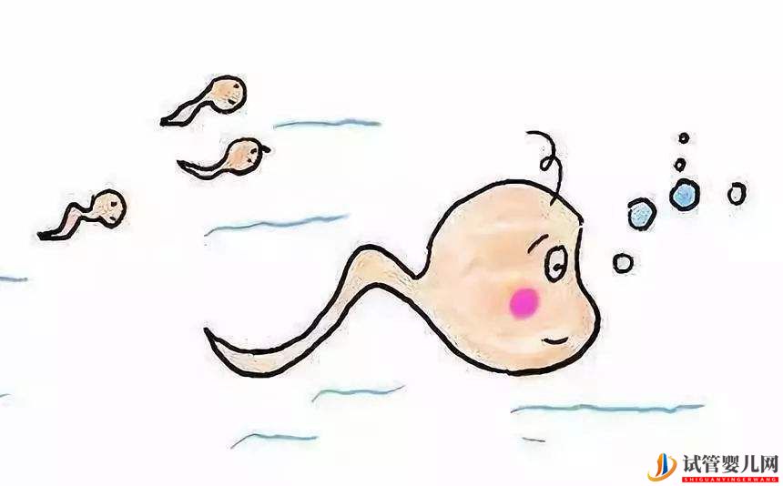 試管嬰兒網(wǎng):男性的年齡是否會影響試管嬰兒的成功率(圖1) 銅仁男性的年齡是否會影響試管嬰兒的成功率(圖1)