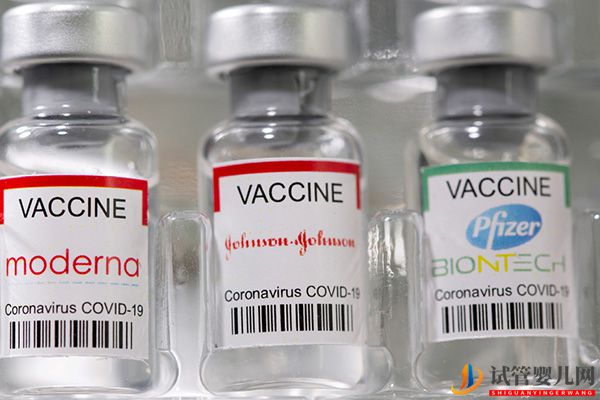 一文讀懂試管打夜針是什么意思，這三種常見藥物可做了解(圖3)