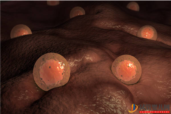 多囊、早衰都不是！這才是21個基礎卵泡降調變10個的原因(圖1)