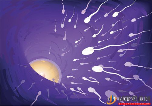 深圳試管嬰兒費用貴嗎是不是越貴成功率越高(圖1)