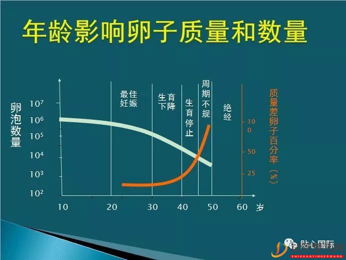 年齡是影響試管嬰兒受孕率主要因素嗎？(圖1)