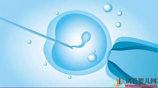 試管嬰兒的預(yù)產(chǎn)期怎么算？(圖1)