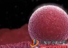 試管嬰兒”生出來的孩子,是親生的嗎看完你就明白了(圖2)