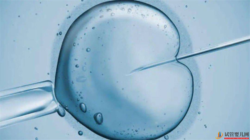 試管嬰兒更聰明但容易得癌癥?(試管嬰兒費(fèi)用大概要多少錢)(圖1) 試管嬰兒更聰明但容易得癌癥?(圖1)