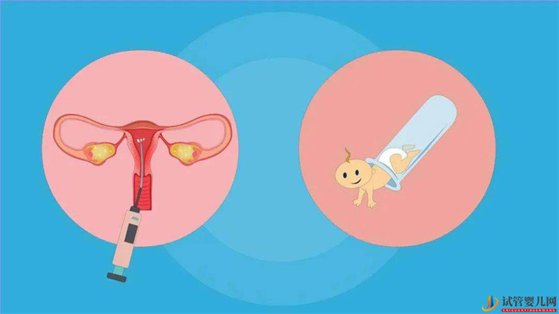 試管嬰兒更聰明但容易得癌癥?(試管嬰兒費(fèi)用大概要多少錢)(圖2) 試管嬰兒更聰明但容易得癌癥?(圖2)