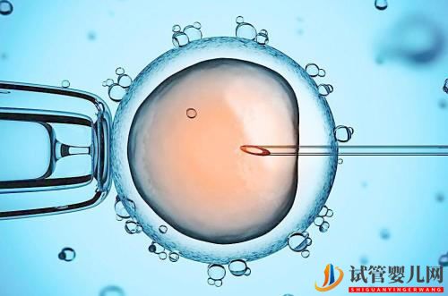 試管嬰兒壽命短智力低竟然還不是親生的(圖1)