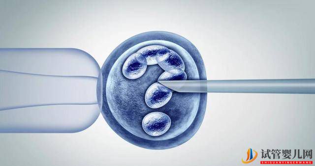 試管嬰兒真的不同嗎？體質(zhì)、壽命、智商等，恐怕讓某些人“失望”(圖2)