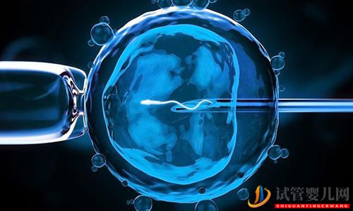 試管嬰兒自然周期與人工周期區別在哪里？(圖1)