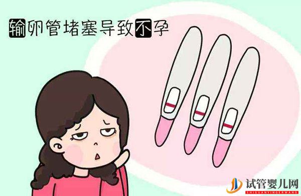 輸卵管堵塞是不是務必要做試管嬰兒(圖1)