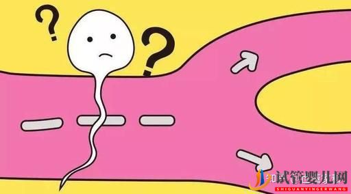 無(wú)精癥,還能生出自己的孩子嗎(圖1)