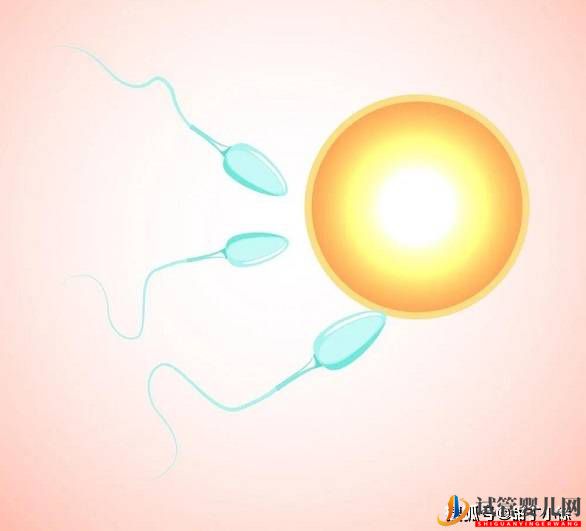 越年輕做試管嬰兒成功率就越高嗎？(圖1)