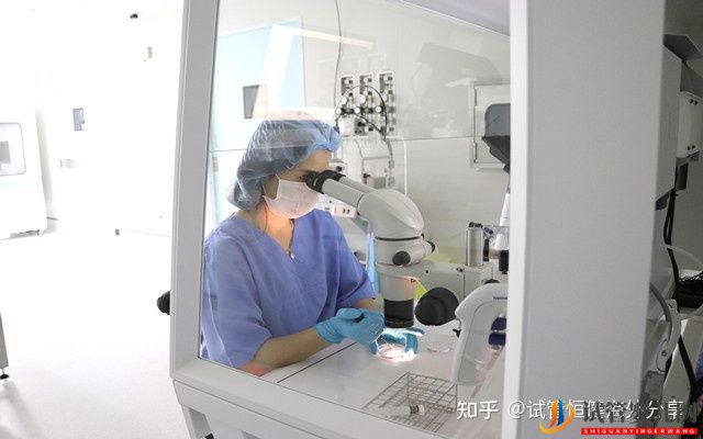 去泰國做試管嬰兒的主要條件(圖1)