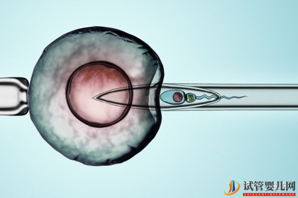 美國夢(mèng)美HRC試管專家解析三代試管嬰兒技術(shù)的優(yōu)缺...(試管嬰兒多少錢)(圖8) 美國HRC試管專家解析三代試管嬰兒技術(shù)的優(yōu)缺點(diǎn)(圖4)