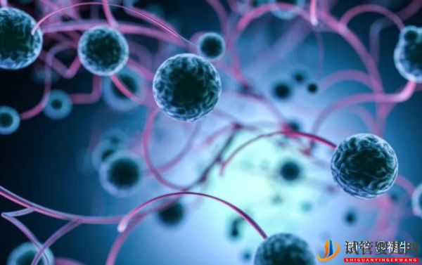 美國夢(mèng)美HRC試管專家解析三代試管嬰兒技術(shù)的優(yōu)缺...(試管嬰兒多少錢)(圖12) 美國HRC試管專家解析三代試管嬰兒技術(shù)的優(yōu)缺點(diǎn)(圖6)