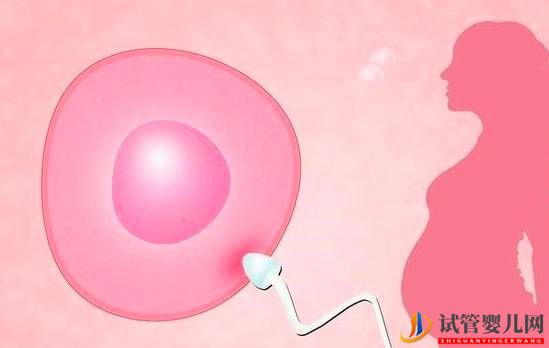 雙胞胎，龍鳳胎，指望試管嬰兒一次搞定？(圖1)