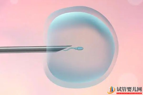 美國試管嬰兒到底強在哪兒,究竟是什么水平(圖4)
