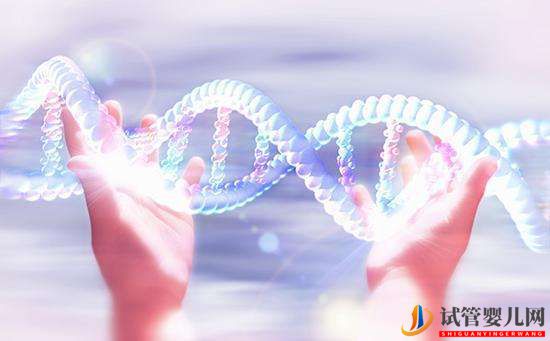 試管嬰兒會對女性身體產生影響嗎？(圖1)