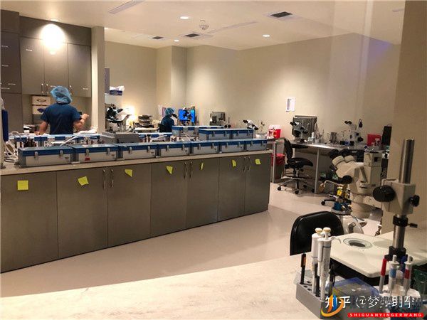 分享美國試管嬰兒的四大獨特優勢(圖2)