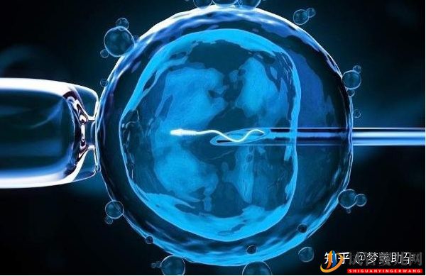 分享美國試管嬰兒的四大獨特優勢(圖3)