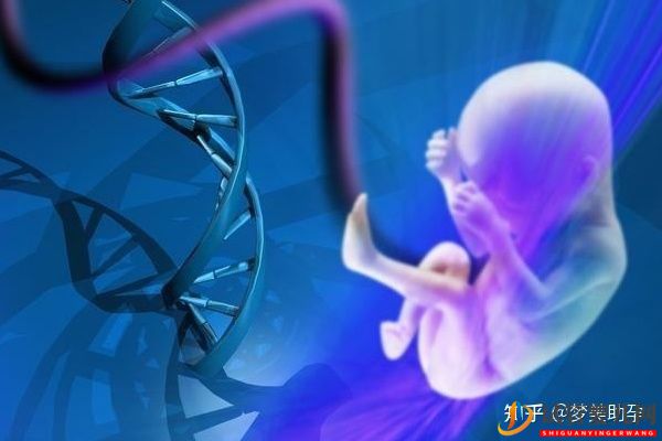 分享美國試管嬰兒的四大獨特優勢(圖4)