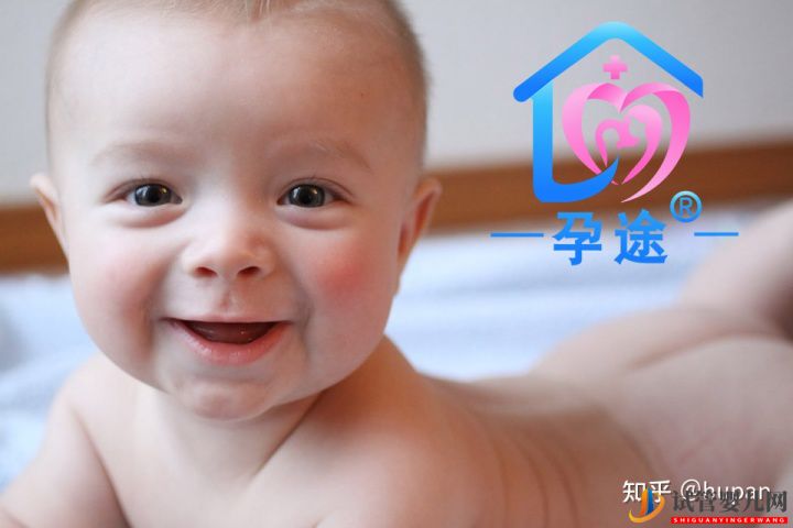 泰國試管嬰兒費用與成功率是否成正比(圖1)