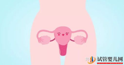 做泰國試管嬰兒要滿足哪些條件(圖4)