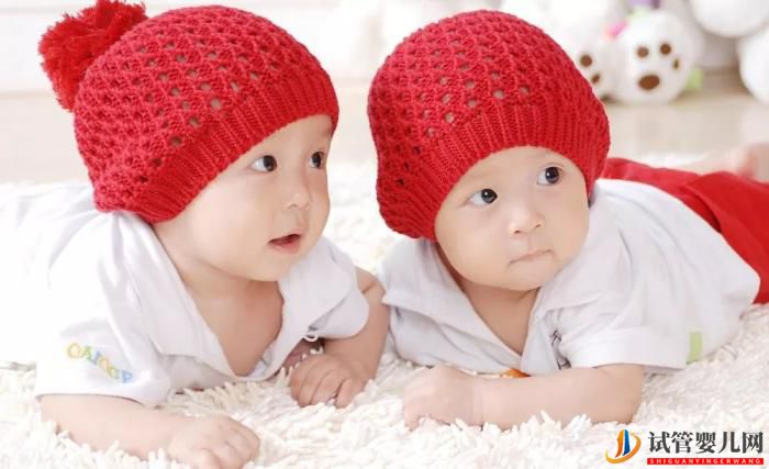 卵泡發育不良去做試管嬰兒可行嗎？(圖1)