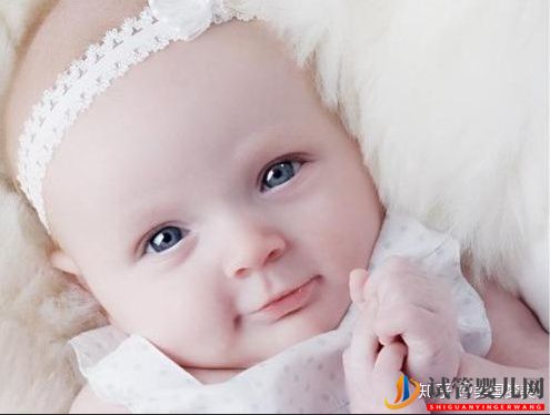 赴美試管嬰兒促排取卵原來是這樣操作的(圖1)