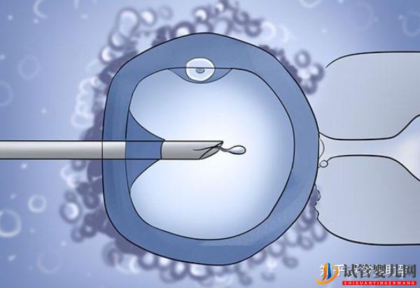 赴美試管嬰兒整個過程需要多長時間-夢美(試管嬰兒多少錢)(圖12) 赴美試管嬰兒整個過程需要多長時間(圖6)