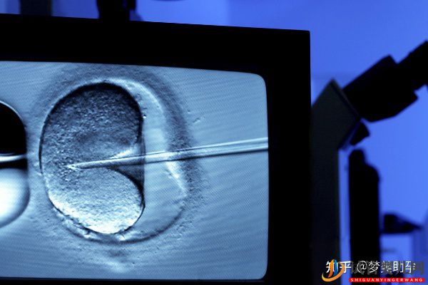 赴美試管嬰兒的成功率有多少呢(圖2)