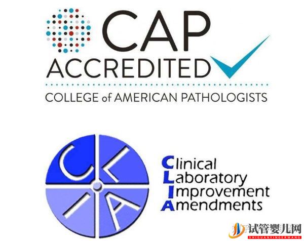 赴美試管嬰兒的成功率有多少呢(圖7)