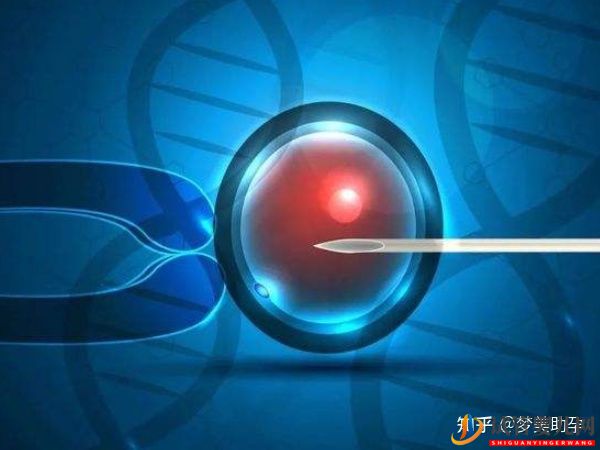 赴美試管嬰兒要經(jīng)歷哪些流程呢(圖9)