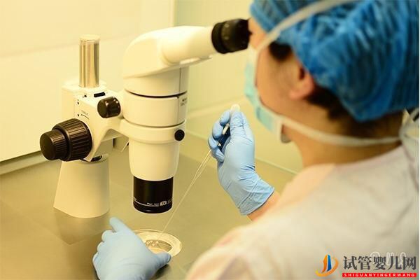 海外試管嬰兒取卵流程及注意事項(圖1)