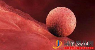 泰國三代試管生男孩可以健康活到幾歲(圖2)