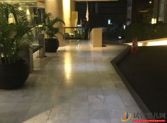 泰國試管的一些心得(圖2)