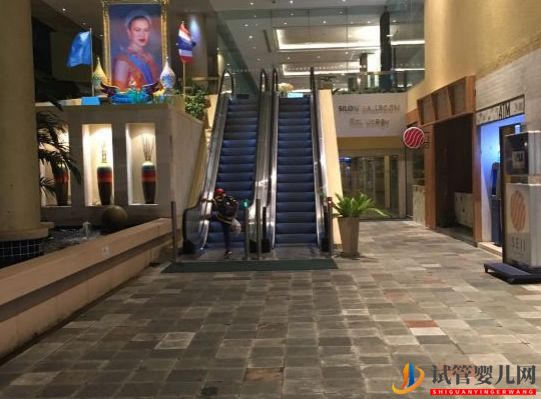 泰國試管的一些心得(圖4)