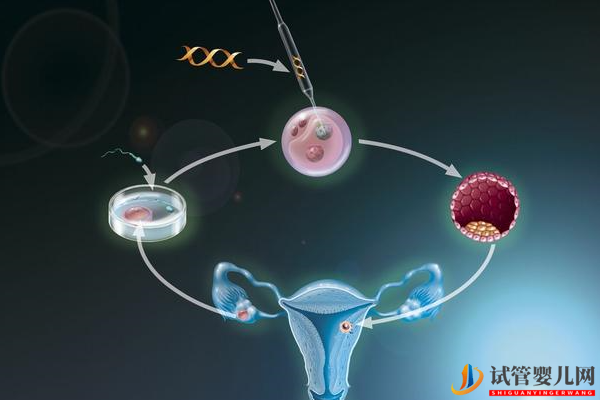美國試管嬰兒對女性有傷害嗎(圖1)
