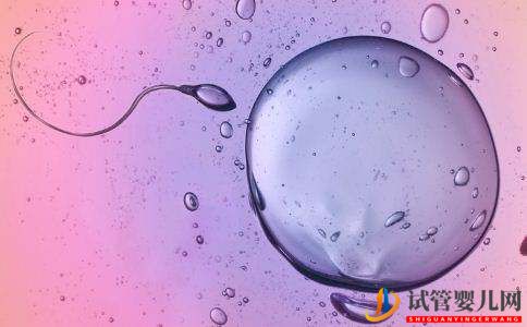 人工授精和試管嬰兒適應癥的不同(圖1)