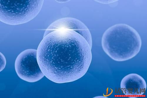 促排卵真的那么恐怖嗎？為什么還會有那么多人做試管嬰兒(圖1)