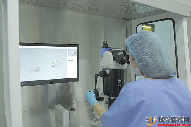 泰國試管嬰兒技術(shù)排卵排名(圖1)