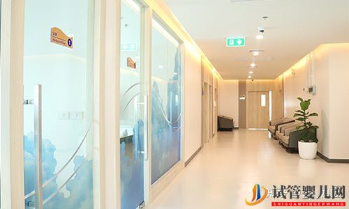 泰國試管嬰兒十大醫院排名提供的內容(圖6)