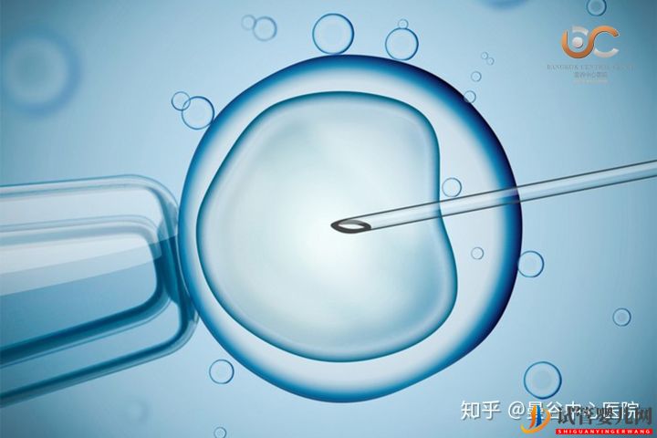 泰國試管嬰兒體外受精術(shù)步驟解讀(圖2)