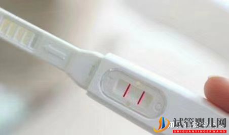 泰國試管嬰兒心路歷程(圖2)