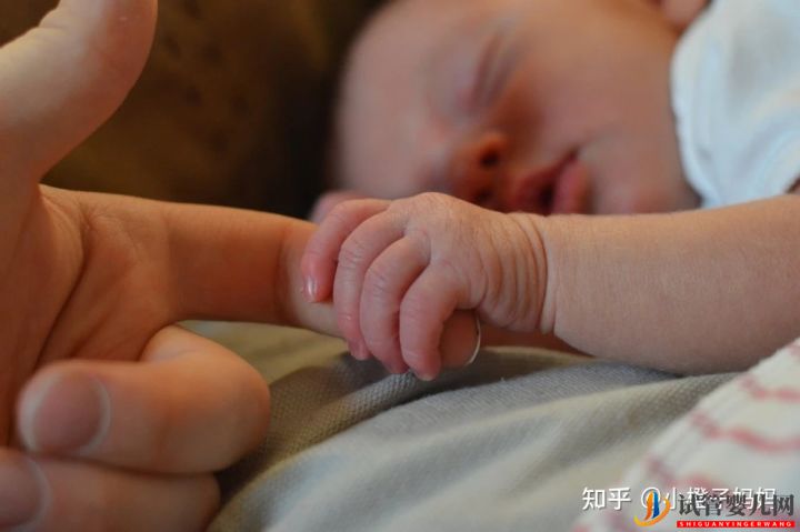 泰國試管嬰兒一次成功可行嗎看完就清楚了(圖6)