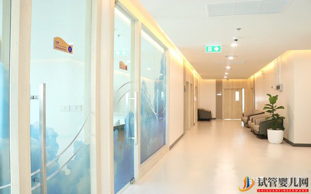 泰國試管嬰兒一次需要多少錢(圖1)