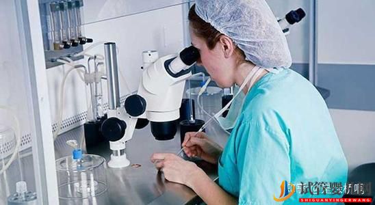 泰國試管嬰兒正規(guī)醫(yī)院匯總以及流程(圖4)