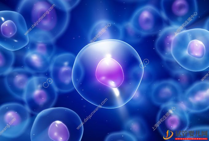 卵子干細胞試管嬰兒技術是何方神圣？中國有這項技術嗎？(圖1)