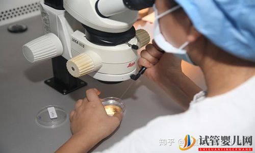 國內外第三代試管嬰兒的區別(圖3)