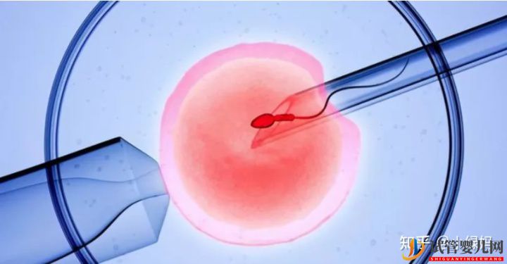 3代試管技術真的比1代2代試管好嗎(圖4)