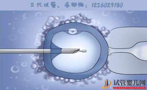 三代試管嬰兒在泰國是合法的嗎(圖1)